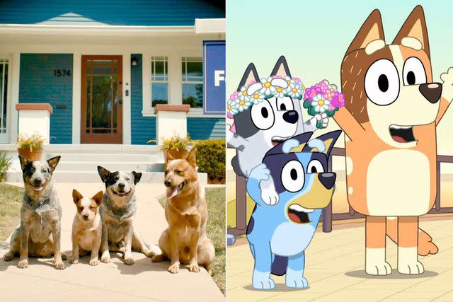 <p>Zillow; Disney Junior</p> Zillow ad (left) and still from 'Bluey' episode "The Sign" (right)