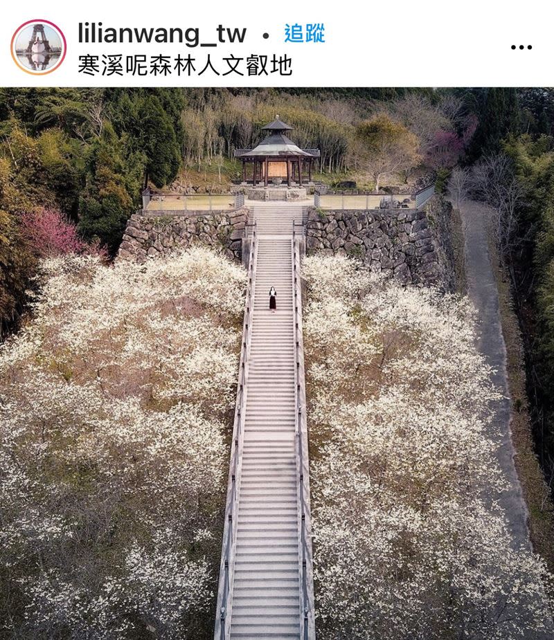 充滿正能量的絕美賞櫻祕境，近年在社群媒體上爆紅。（圖／IG lilianwang_tw提供）