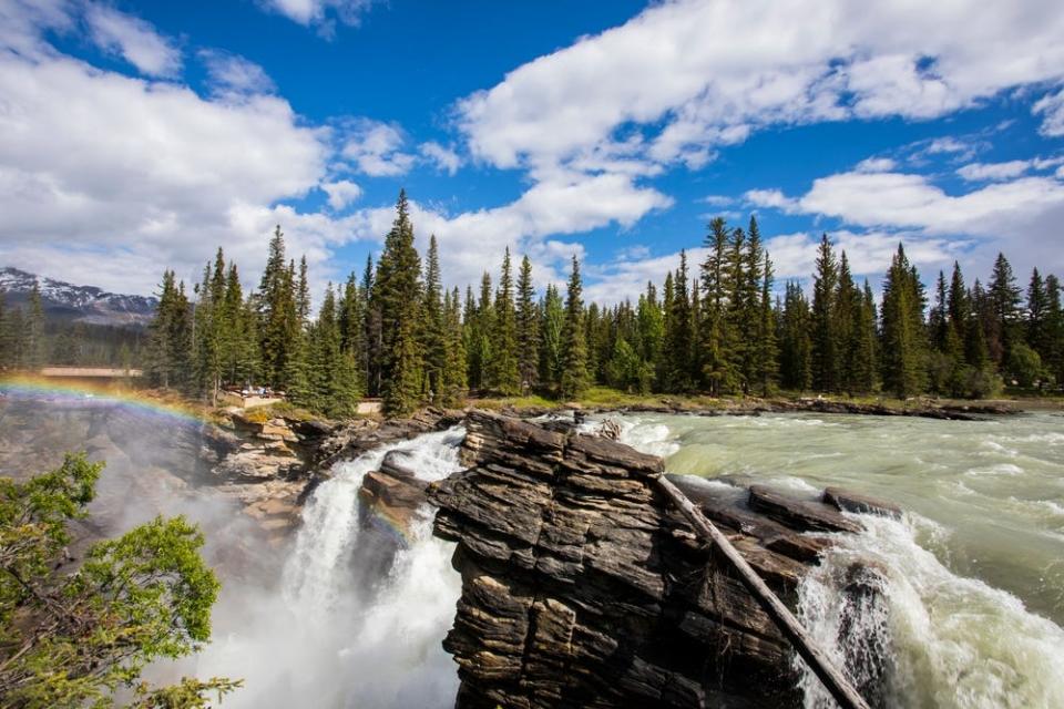 Summer in Athabasca Falls, Jasper National Park, in Canada.