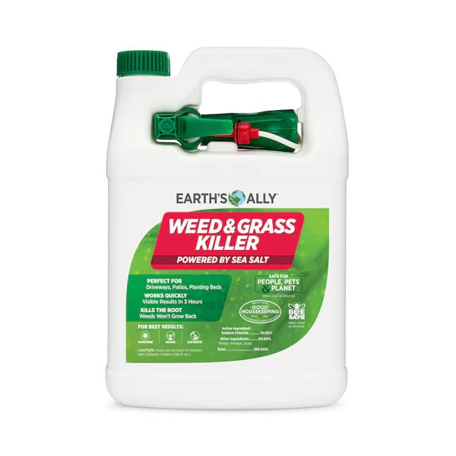 Earth's Ally Weed and Grass Killer Natural Trigger Spray Herbicide