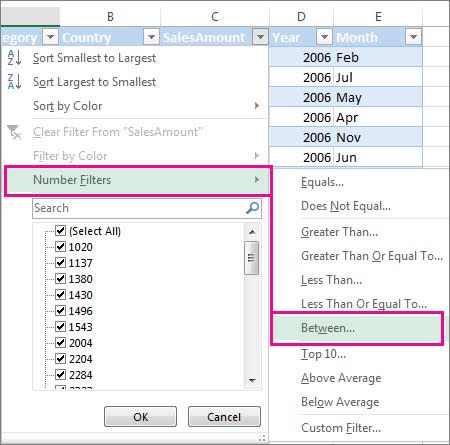How to filter in Excel