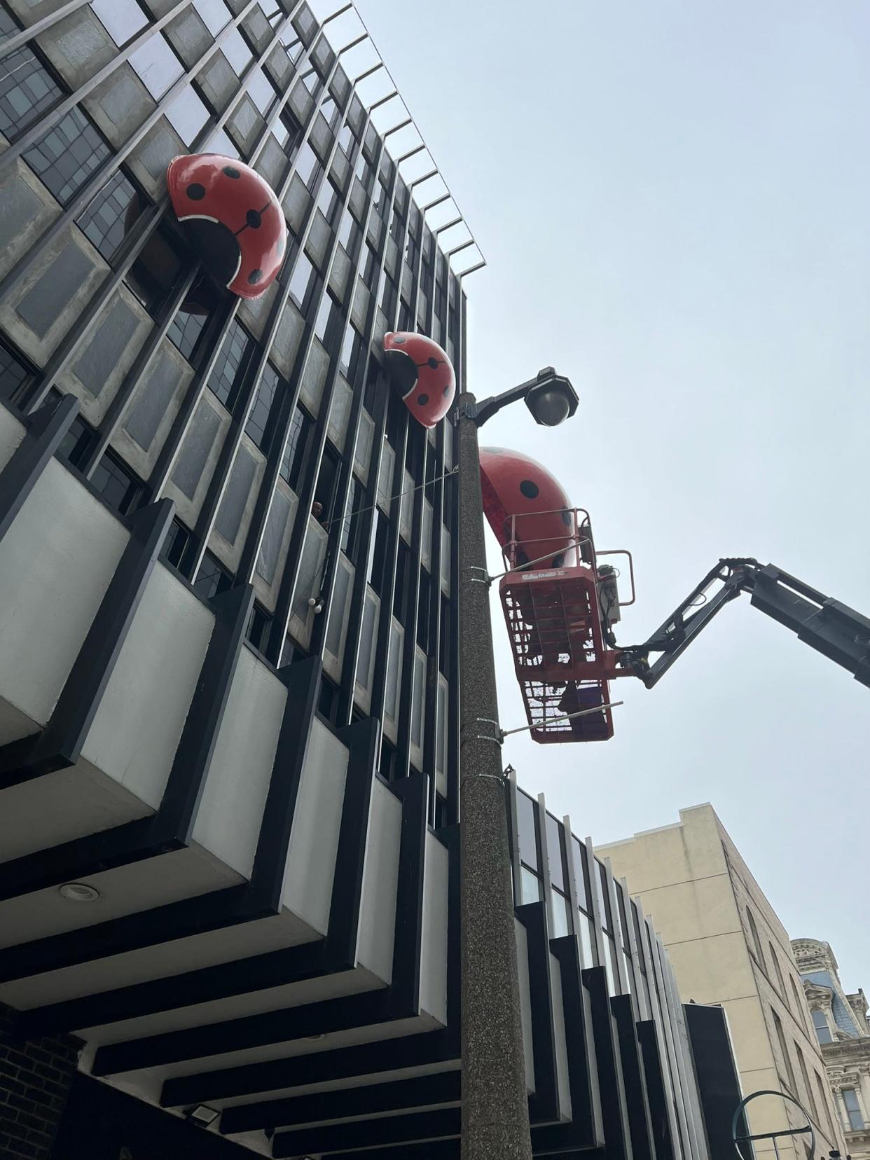 The three popular ladybugs were removed from the side of the Milwaukee Building on April 4 to be refurbished. It prompted some in the city to worry what might be happening to them.