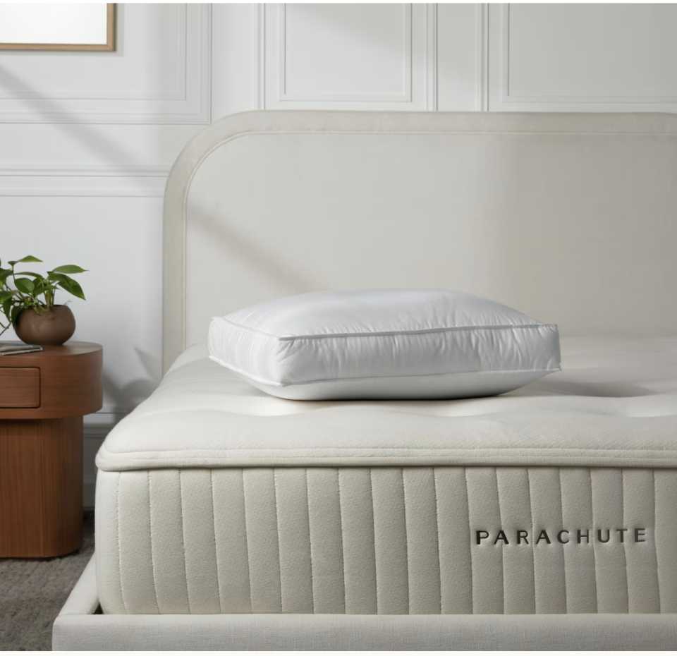 <p><a href="https://go.redirectingat.com?id=74968X1596630&url=https%3A%2F%2Fwww.parachutehome.com%2Fproducts%2Fside-sleeper-pillow-down&sref=https%3A%2F%2Fwww.cosmopolitan.com%2Flifestyle%2Fg46523878%2Fbest-luxury-pillows%2F" rel="nofollow noopener" target="_blank" data-ylk="slk:Shop Now;elm:context_link;itc:0;sec:content-canvas" class="link ">Shop Now</a></p><p>Down Side Sleeper Pillow</p><p>parachutehome.com</p><p>$129.00</p>