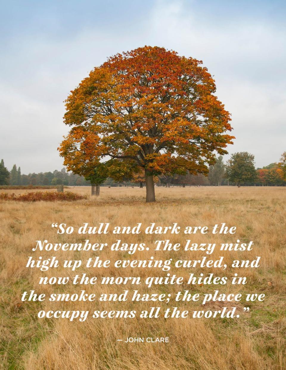 <p>“So dull and dark are the November days. The lazy mist high up the evening curled, and now the morn quite hides in the smoke and haze; the place we occupy seems all the world.”</p>