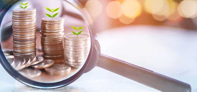 A magnifying glass over stacks of coins sprouting plant shoots.