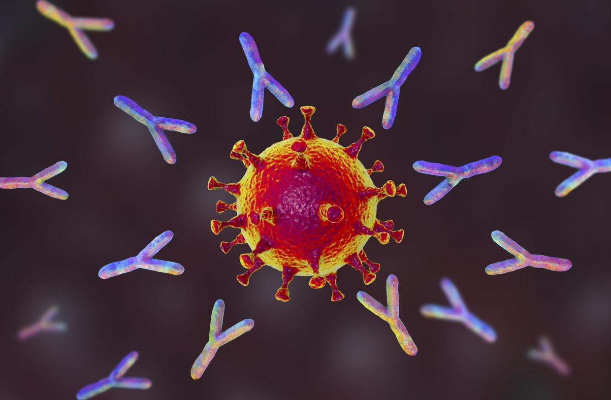 <span class="caption">After a second dose of the COVID-19 mRNA vaccine, a swarm of antibodies attacks the virus.</span> <span class="attribution"><a class="link " href="https://www.gettyimages.com/detail/illustration/antibodies-responding-to-covid-19-royalty-free-illustration/1227506794?adppopup=true" rel="nofollow noopener" target="_blank" data-ylk="slk:Kateryna Kon/Science Photo Library via Getty Images;elm:context_link;itc:0;sec:content-canvas">Kateryna Kon/Science Photo Library via Getty Images</a></span>
