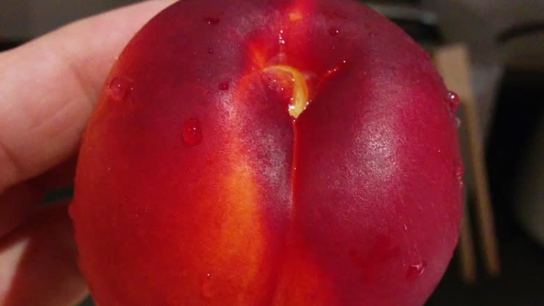 B.C. woman turns 'second grade' fruit into drinking vinegar