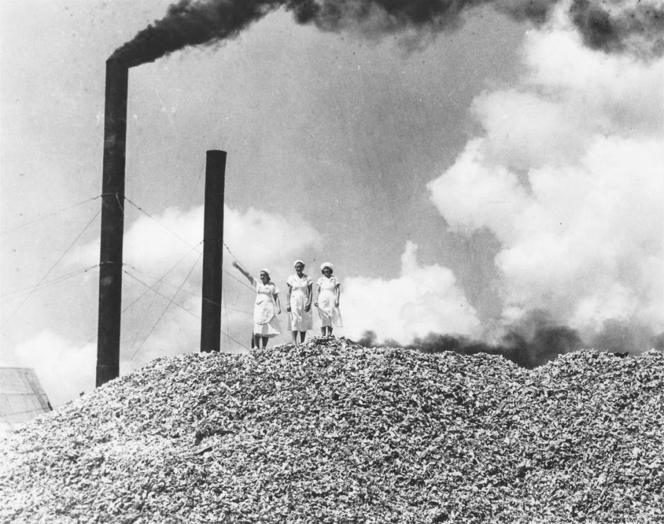 Vast oyster reefs meant mountains of shells outside Mississippi Coast seafood factories in the early 20th Century, when Biloxi was known as the Seafood Capital of the World. The Mississippi Sound Coalition is fighting to save and reinvigorate an industry that has been culturally, environmentally and economically significant to the Coast.