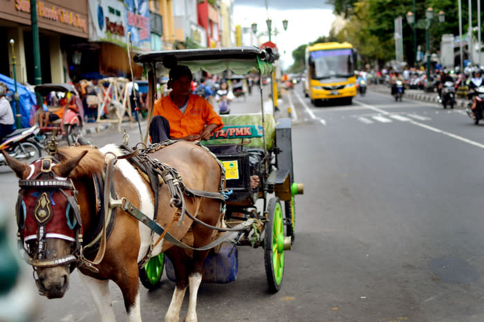 Need a lift?: The carriage driver ready to take the tourists to explore malioboro street. (