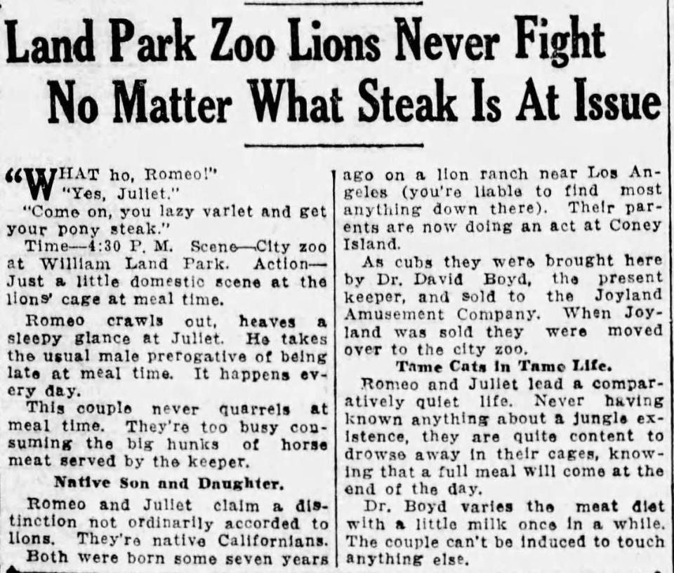 A story in the Oct. 28, 1927, edition of The Sacramento Bee, highlights the playfulness of its lions, a brother and sister duo named Romeo and Juliet.