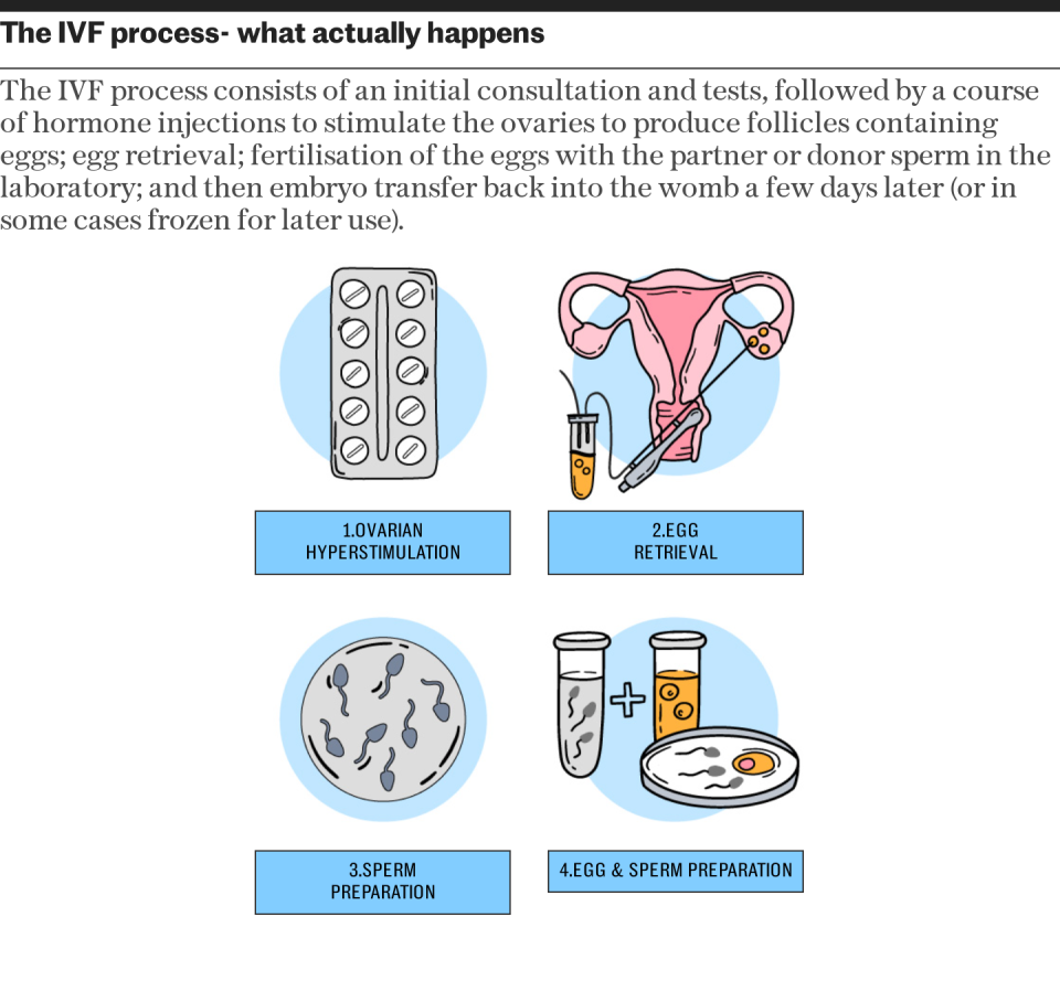 I was single when I had IVF. Every solo parent should have this right