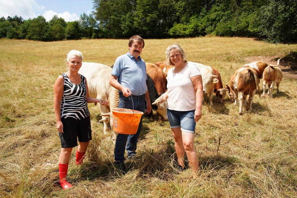 Der Bauer rät seinen Hofdamen Simone (links ) und Patrica, Abstand zu den Bullen zu halten. (Bild: RTL / Stefan Gregorowius)