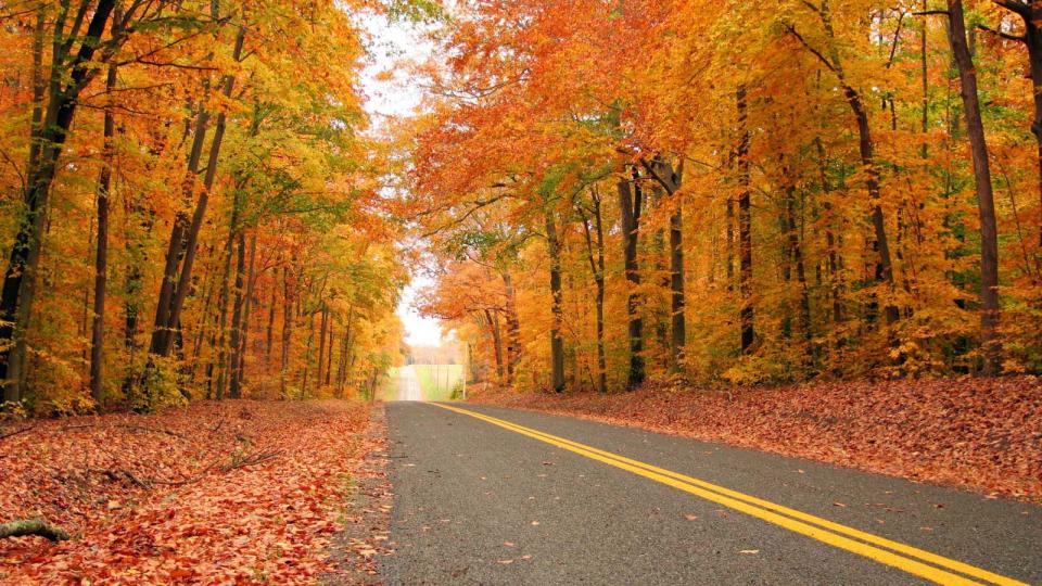 Fall on Maryland's Eastern Shore