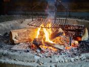 <p>If you've got a log fire, wood burning stove or BBQ, then you can use the ash produced for your plants. Sprinkle a light layer of ash over your soil to offer potassium and calcium carbonate.</p>