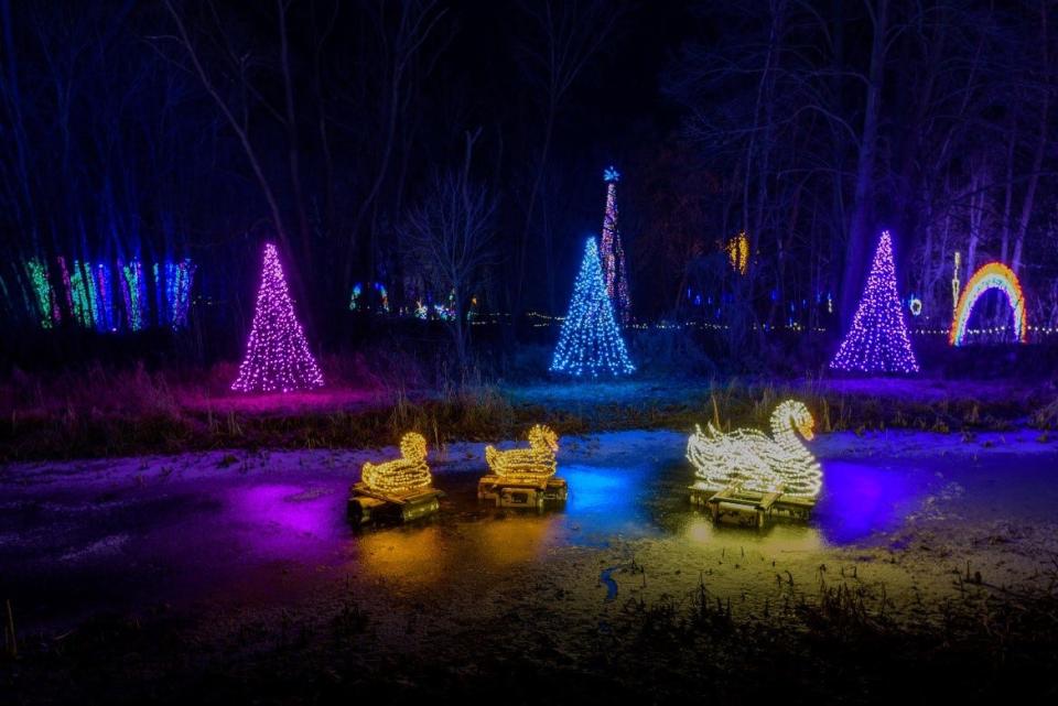 Swans on a frozen pond are among the many tranquil scenes of nature done up in lights for WPS Garden of Lights at Green Bay Botanical Garden.