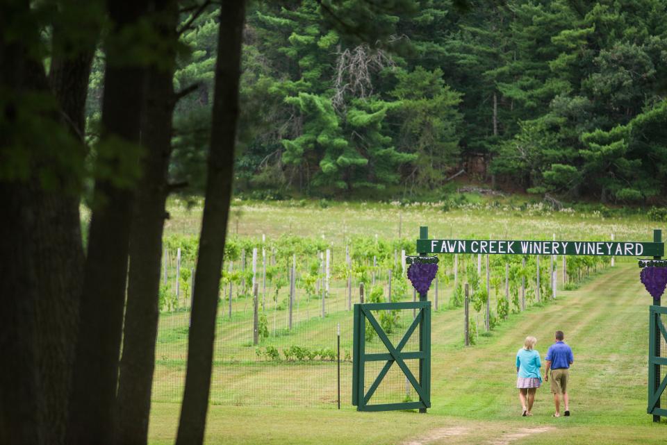 Fawn Creek Winery in Wisconsin Dells has a small vineyard onsite.