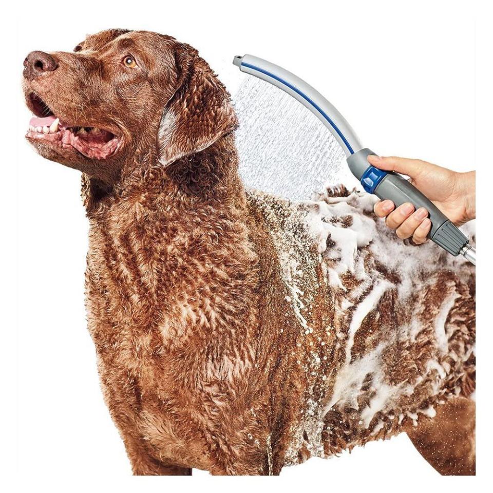 Waterpik Pet Wand