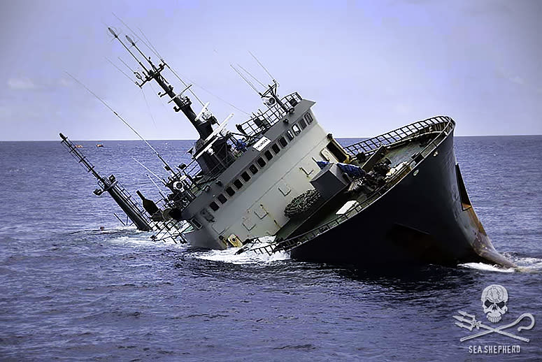 No 'Whale Wars' Here: Sea Shepherd Rescues Crew of Fish Poachers