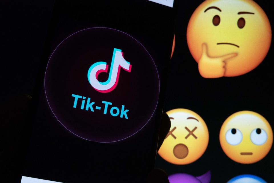 TikTok says its chatbot is powered by a third-party chat assistant (Aleksey Zotov / Alamy / PA)