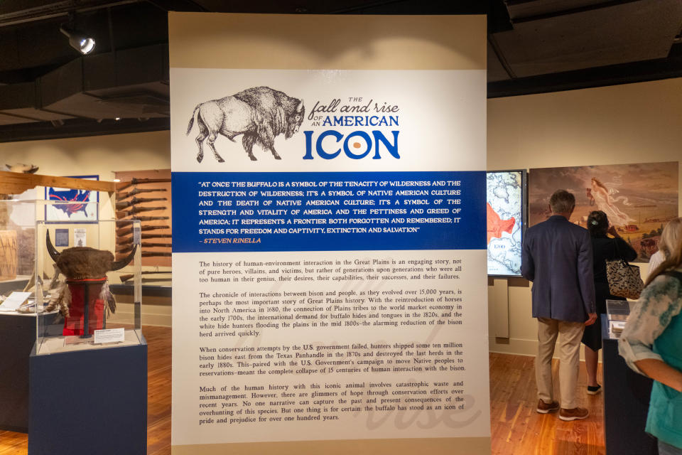 The new exhbit" The Fall and Rise of an American Icon" at the Panhandle Plains Historical Museum in Canyon.