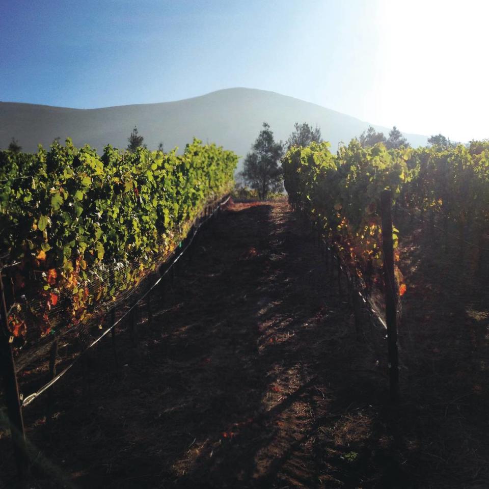 Deovlet Wines in San Luis Obispo is among the local wineries showcased in “Wine Trails: United States & Canada,” due out Oct. 16 from Lonely Planet.