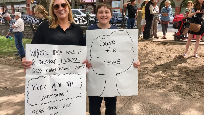 Fredericton residents rally to protect downtown trees from destruction