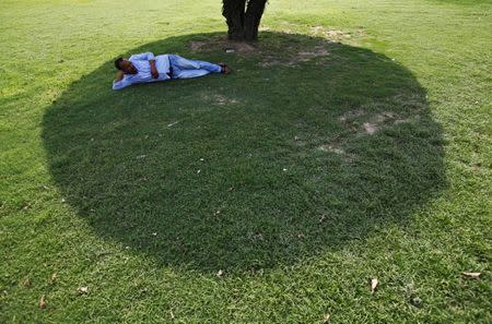 A man rests under the shade of tree on a hot summer day at a public park in New Delhi, May 11, 2017. REUTERS/Adnan Abidi/Files