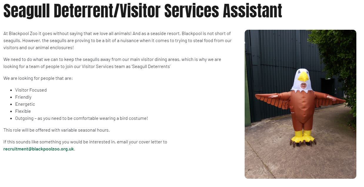 The advert for a 'seagull deterrent' or visitor services assistant was posted on the Blackpool Zoo website. (Blackpool Zoo)