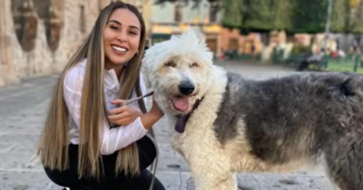 Mujer rescata a un perro en la calle y descubre que era su mascota que había extraviado. Foto: Captura de vdeo TikTok vía @rociocasfit