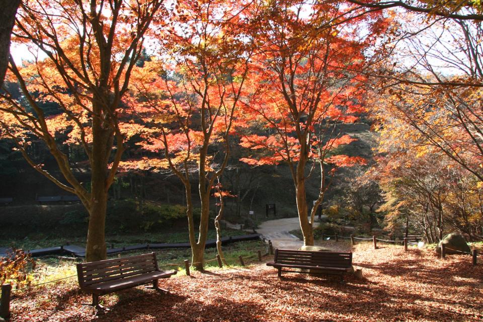 <h3>1：六甲高山植物園</h3> <p>被豐富大自然景色圍繞的六甲山・摩耶山，白天可以飽覽神戶市區的風景，晚上更是被選為日本新三大夜景的千萬夜景景點！大人到小孩都滿足的山上設施在秋季舉辦豐富活動，搭乘纜車往山上來一趟秋季小旅行吧。</p> <cite>神戶市台灣推廣事務所</cite>