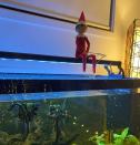 <p>Pop your elf onto the top of your fish tank with a little rod to make them look like they're going fishing.</p><p><a href="https://www.instagram.com/p/ClyDkhJB_w_/" rel="nofollow noopener" target="_blank" data-ylk="slk:See the original post on Instagram" class="link ">See the original post on Instagram</a></p>