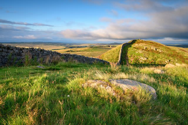 <p>daverhead/Getty Images</p>