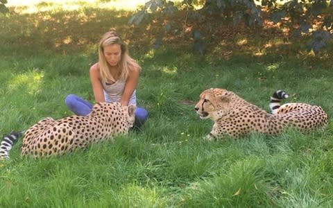 Victoria Aspinall with cheetahs Saba and Nairo