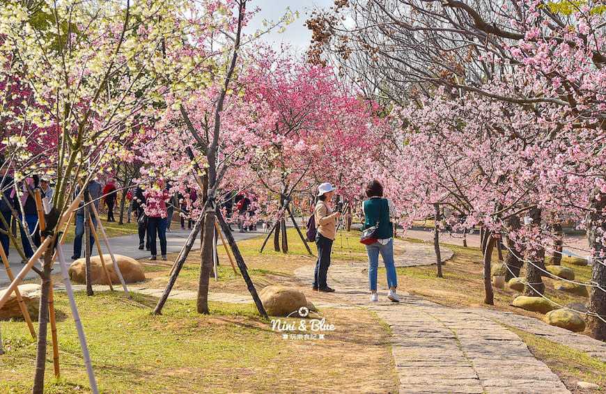 台中后里｜2021 中科崴立櫻花公園