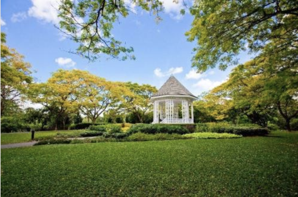 The Singapore Botanic Gardens, a UNESCO World Heritage Site, (above) is next to Tyersall Park (Photo: Singapore Botanic Garden)