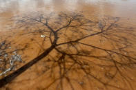 <p>The shadow of a tree is reflected on water in Pianco, Paraiba state, Brazil, Feb. 12, 2017. (Photo: Ueslei Marcelino/Reuters) </p>
