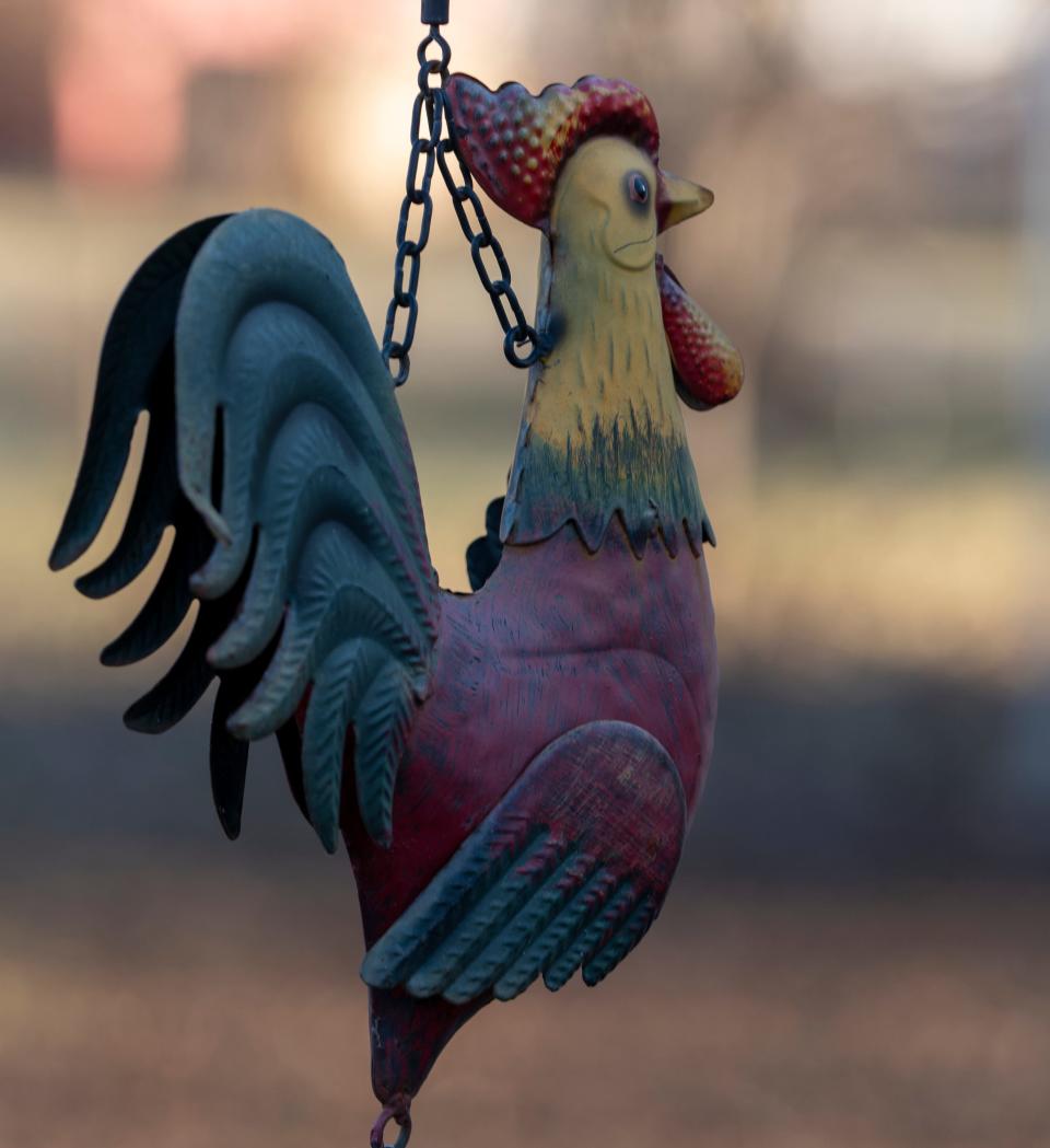 One of the chicken ornaments in the yard of married couple Debra and Billy Hancock, Tuesday, Jan 11, 2023, in the Drexel Gardens neighborhood of Indianapolis. They said that over the years, thieves have stolen a few of the ornaments.