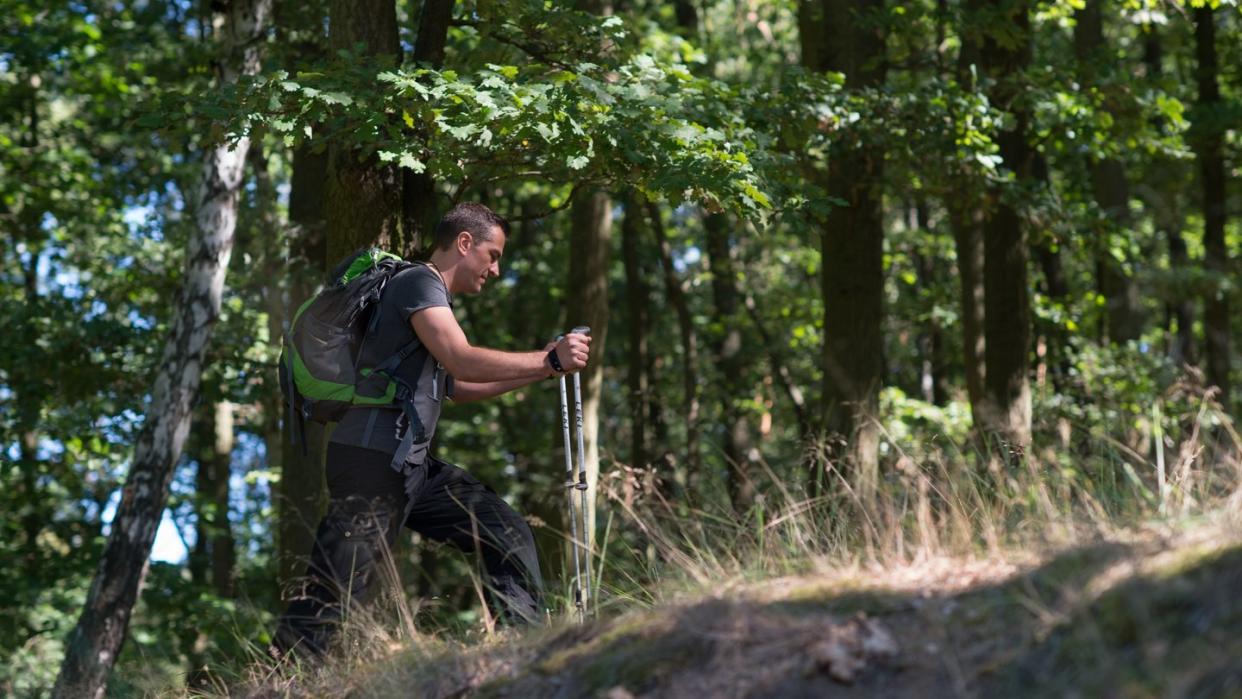 Wanderurlaub am besten mit Impfung: 2019 sind in Deutschland vermutlich besonders viele Zecken unterwegs. Foto: Klaus-Dietmar Gabbert