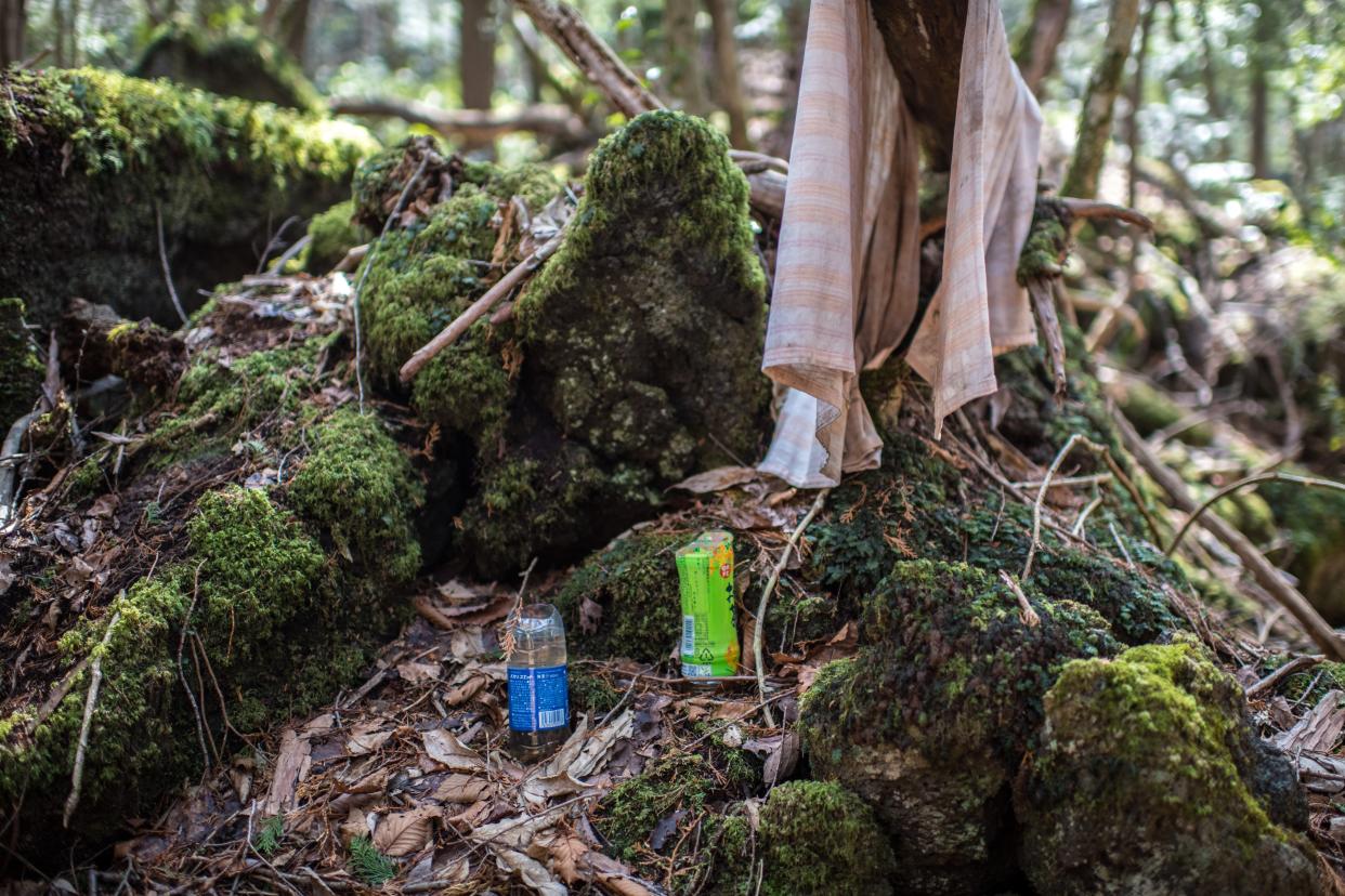 <p>Aokigahara forest lies on the on the northwestern flank of Mount Fuji and in recent years has become known as one of the world’s most prevalent suicide sites.</p> (Getty)