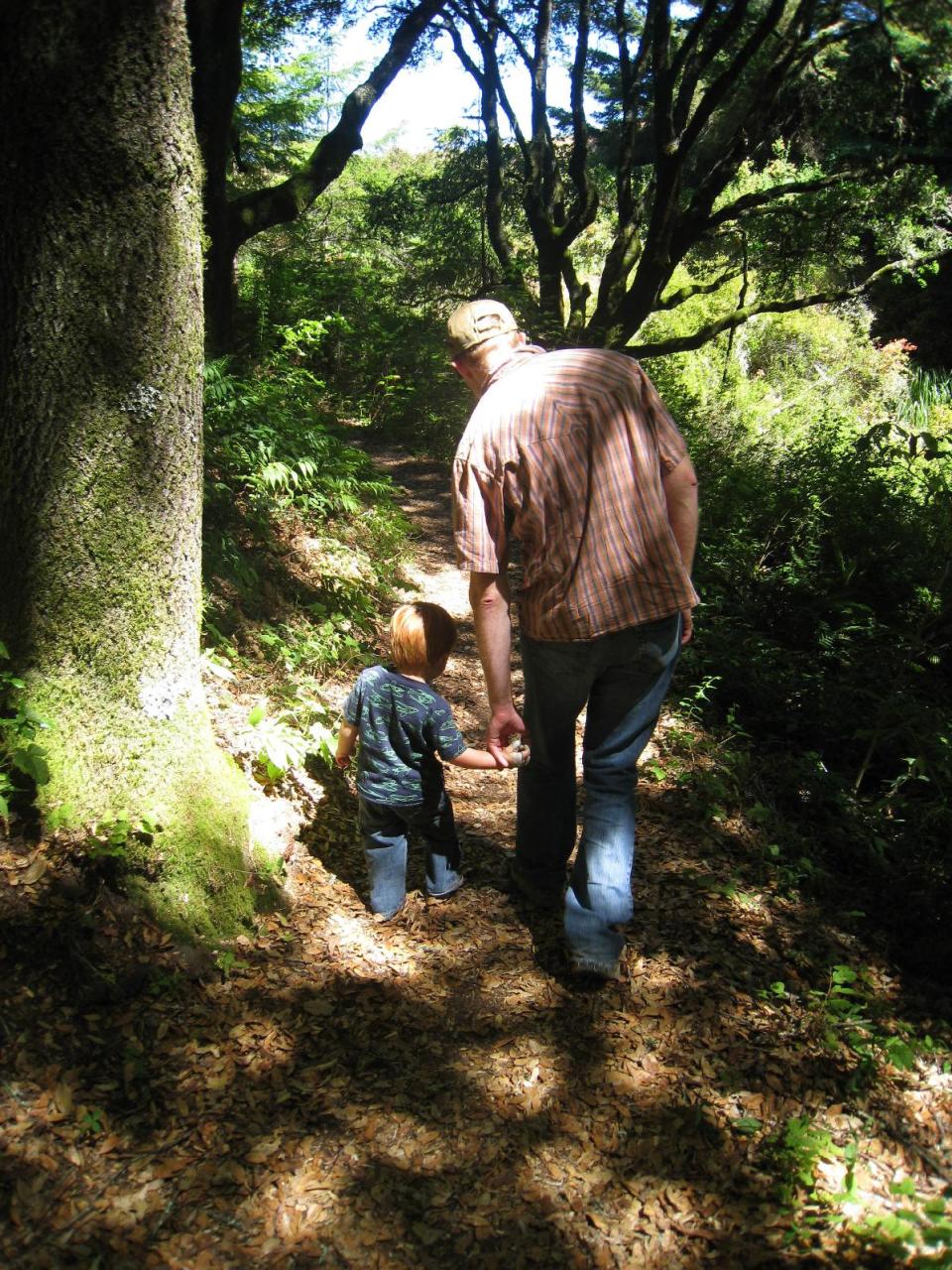 In this 2008 photo provided by courtesy of Stroller Hikes, a father and son bond during a Stroller Hikes family hike up Pomponio Canyon Trail toward Mount Ellen near Memorial County Park in Pescadero, Calif. Stroller Hikes Toddler Treks encourage parents to slow down to appreciate the world through the eyes of their children, while also encouraging youth to become active, engaged participants in hikes. (AP Photo/Courtesy Stroller Hikes, Debbie Frazier)