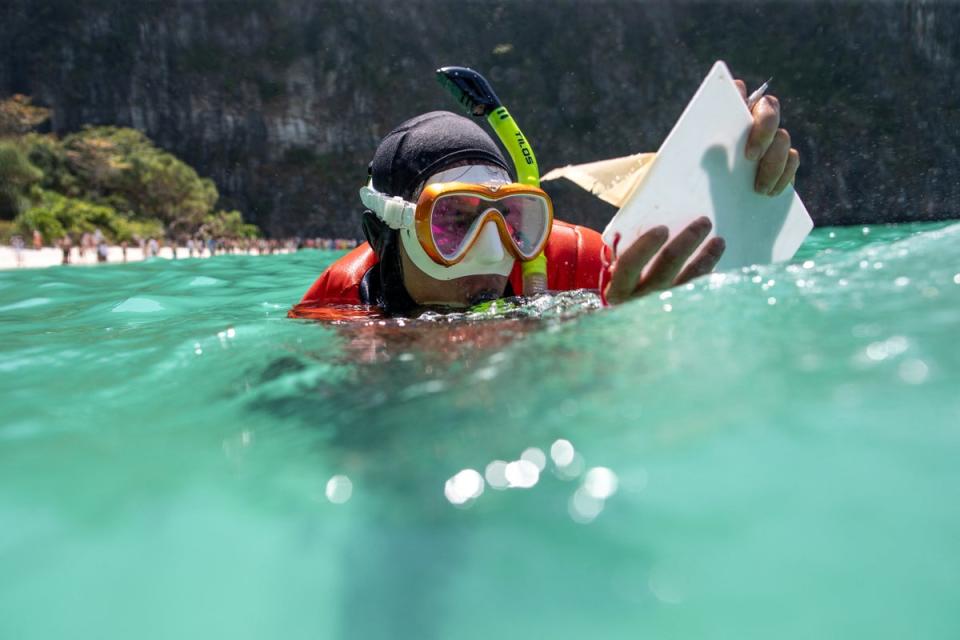 Sommawan Kasa, 29, a divemaster with the Maya Shark Watch Project, takes notes on a waterproof filming board (Reuters)