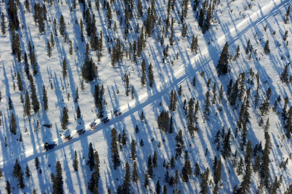 In this Thursday, March 6, 2014 photo, an Iditarod musher travels through the spruce forest between the checkpoints of Cripple and Ruby during the 2014 Iditarod Trail Sled Dog Race. (AP Photo/The Anchorage Daily News, Bob Hallinen) LOCAL TV OUT (KTUU-TV, KTVA-TV) LOCAL PRINT OUT (THE ANCHORAGE PRESS, THE ALASKA DISPATCH)