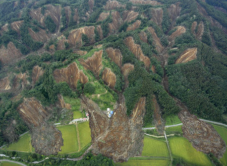 Landslides caused by an earthquake are seen in Atsuma town, Hokkaido, northern Japan. Kyodo/via REUTERS
