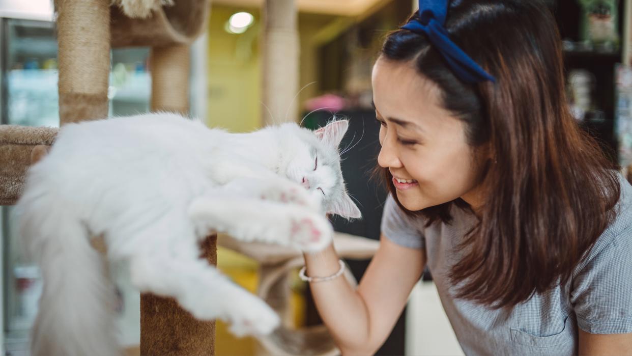  Smiling woman petting her cat. 