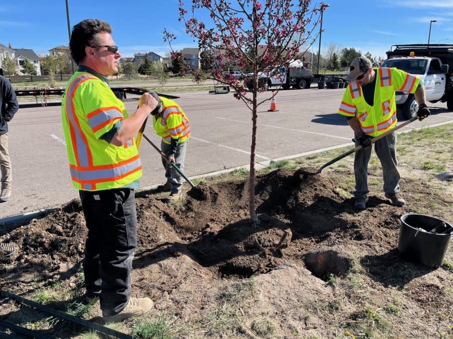 Crabapple tree planting ceremony at John Venezia Park