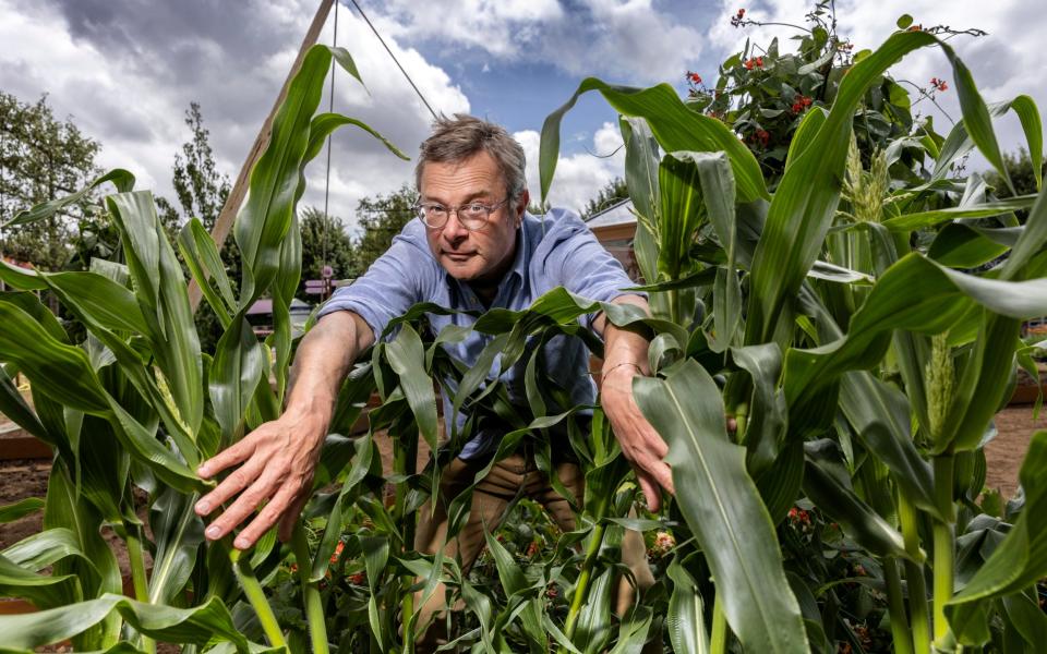 'Plants made to look and taste like meat are not necessarily where I want to have my dinner right now,' says Hugh Fearnley-Whittingstall - Jeff Gilbert