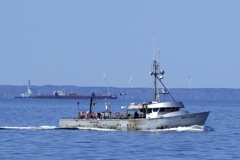 A fishing boat, foreground, and commercial ship travel across Cape Cod Bay, Monday, March 27, 2023, in Massachusetts. Vessels are restricted in how fast they can travel and how commercial fishermen can fish in an effort to protect right whales from boat strikes and rope entanglements. The drive to protect vanishing whales has brought profound impacts to marine industries, and those changes are accelerating as the Endangered Species Act approaches its 50th anniversary. (AP Photo/Robert F. Bukaty)