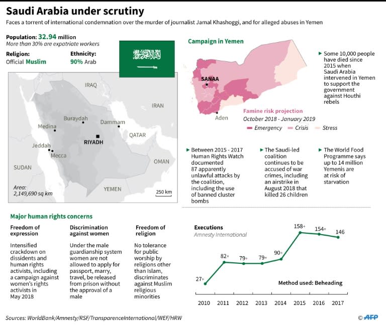 Factfile on major human rights concerns in Saudi Arabia