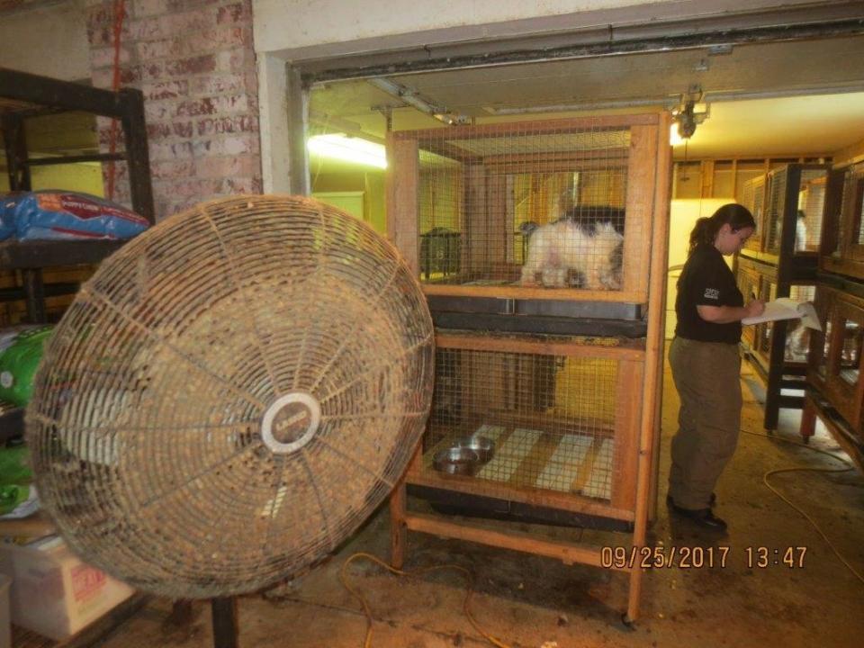 A fan covered with dirt inside the structure that housed 100 dogs and puppies. (Photo: SPCA of Texas)