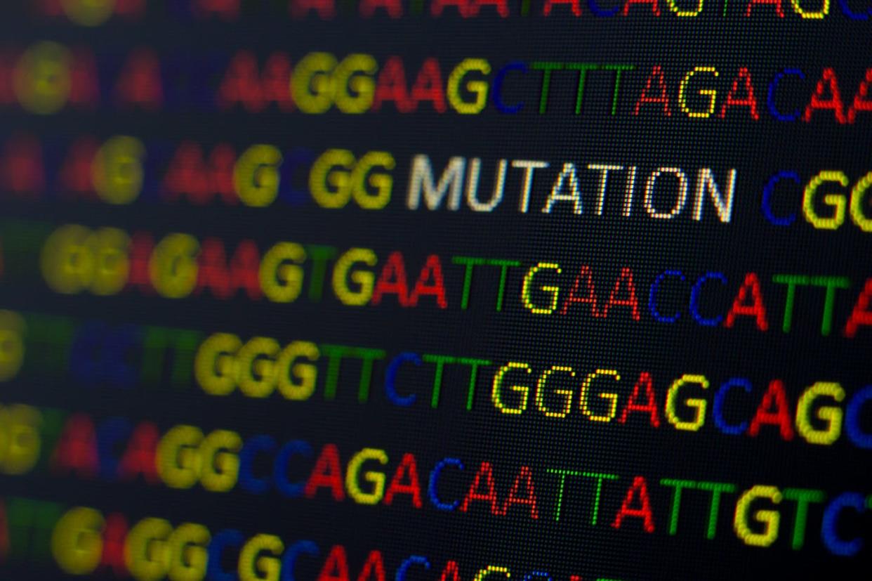 <span class="caption">Sequencing the genome of a virus gives researchers information on how mutations can affect its transmissibility and virulence.</span> <span class="attribution"><a class="link " href="https://www.gettyimages.com/detail/photo/sequence-with-colored-letters-on-black-background-royalty-free-image/589571864" rel="nofollow noopener" target="_blank" data-ylk="slk:catalinr/iStock via Getty Images Plus;elm:context_link;itc:0;sec:content-canvas">catalinr/iStock via Getty Images Plus</a></span>